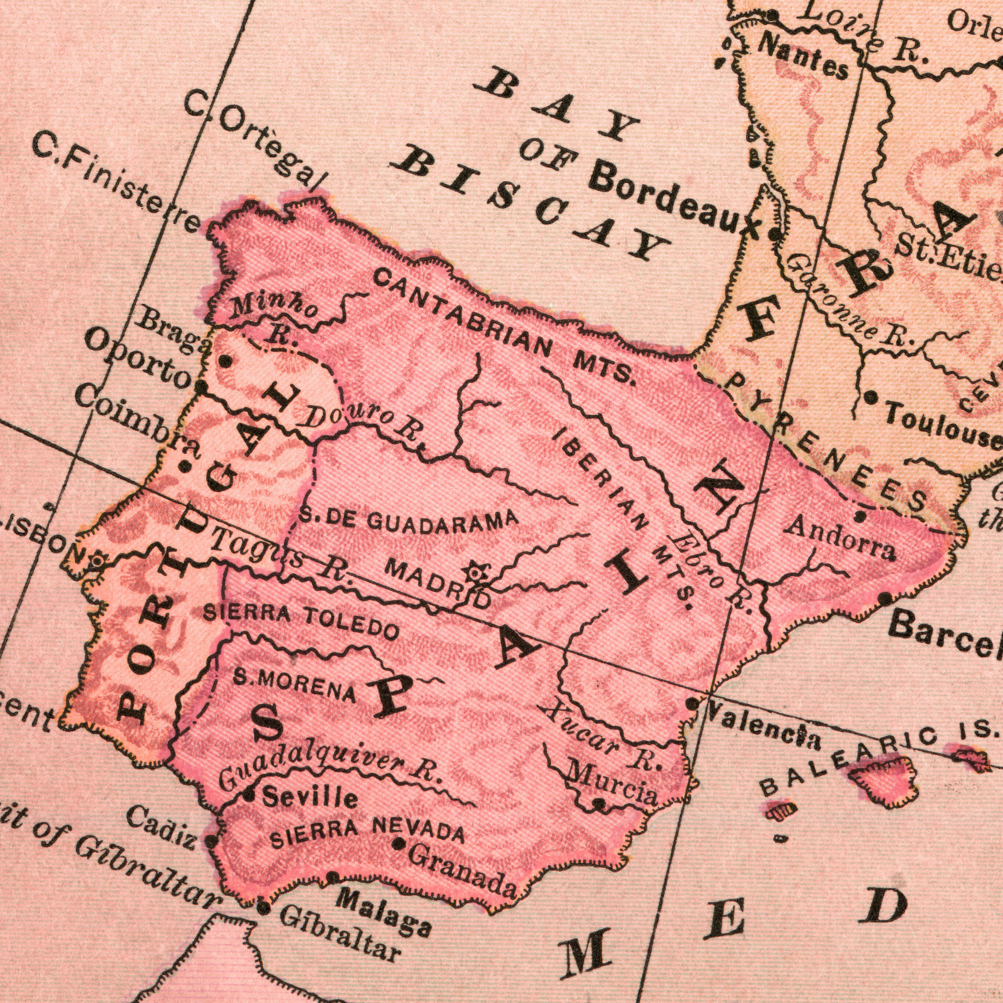 Discover Authentic Spanish Wines