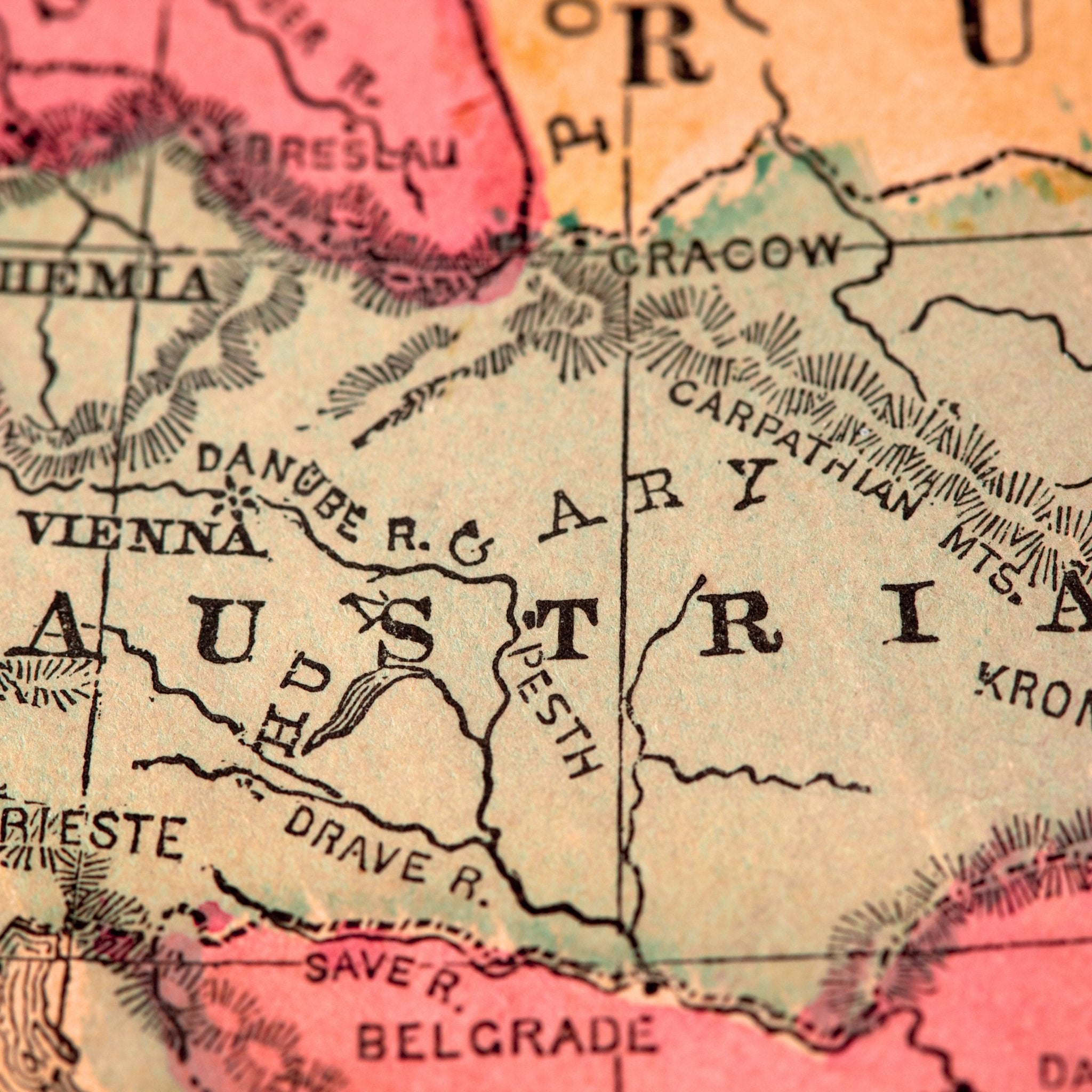 Discover Authentic Austrian Wines