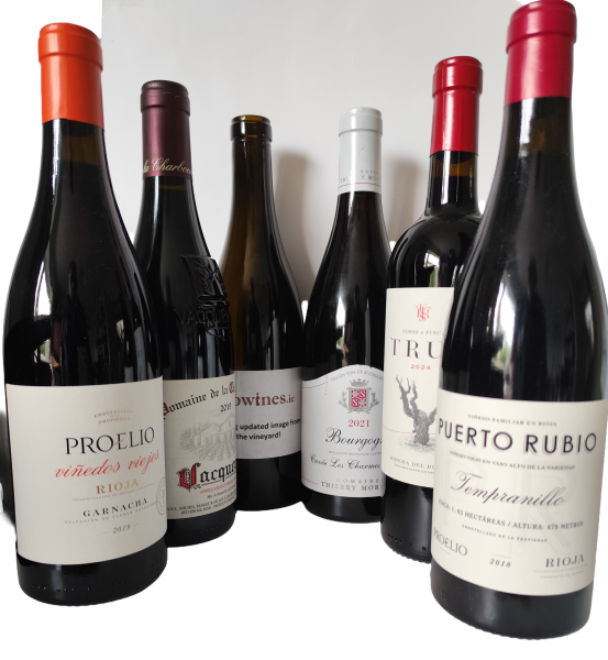 Christmas Reds Tasting Case 6-Pack