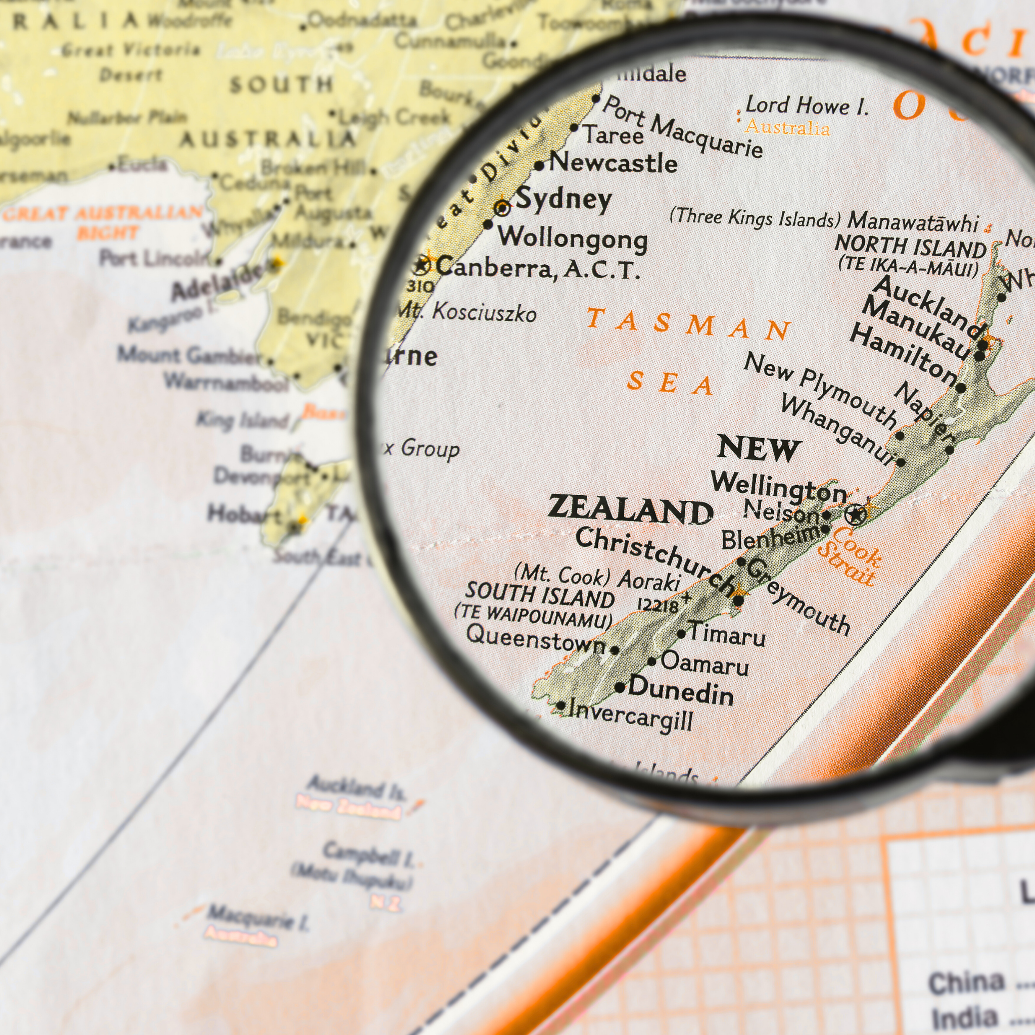 Discover Authentic New Zealander Wines