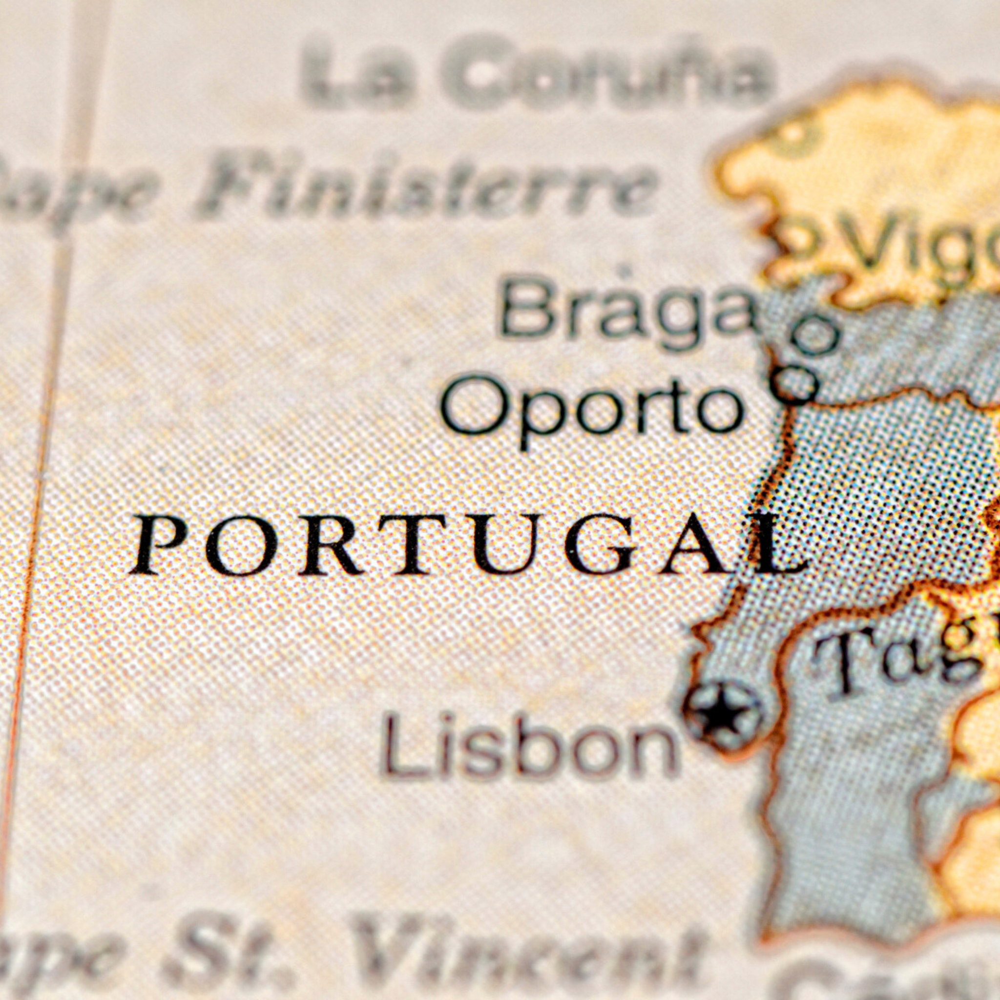 Discover Authentic Portuguese Wines