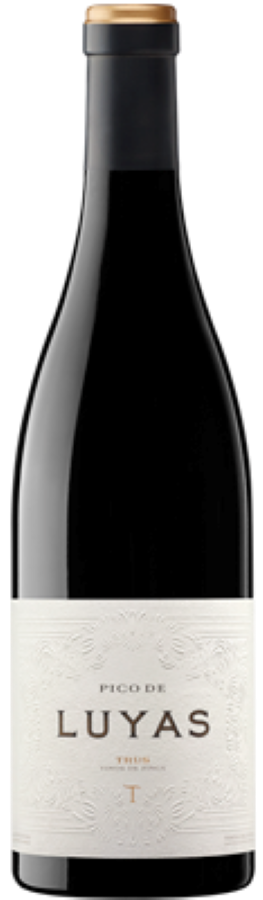 Trus Pico de Luyas 2020, Ribera del Duero, Spain