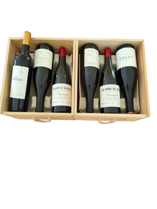 Palacios - Premium Selection of Spanish Wines (6 Btls)