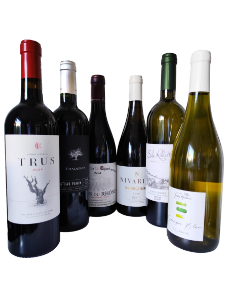 Collection of various wine bottles with labels on a white background