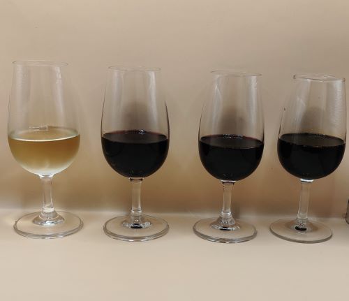 Tasting & Tapas - Loire Libations